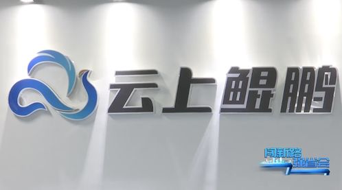 貴安新區(qū)企業(yè)開(kāi)足馬力忙生產(chǎn)，邁好新年第一步——故云行之觀察